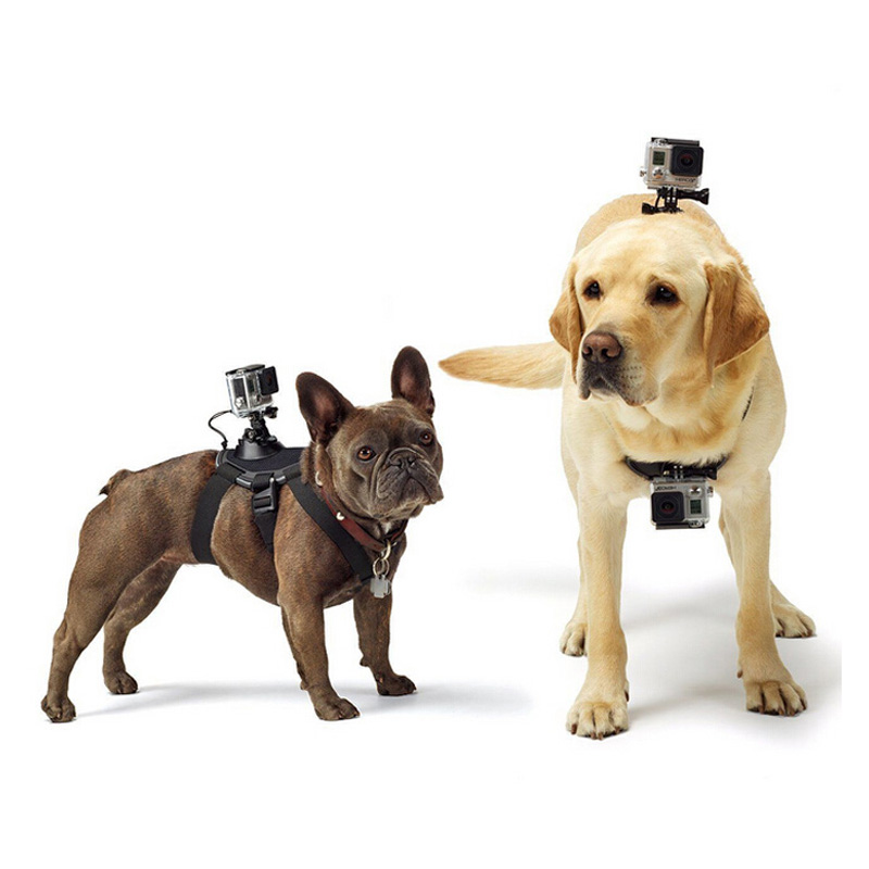 Tüm Aksiyon Kameralara Uyumlu Köpekler İçin Kamera Askısı