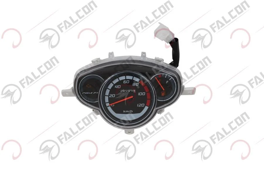 Falcon Dolphın 100-125 Efi Km Saati