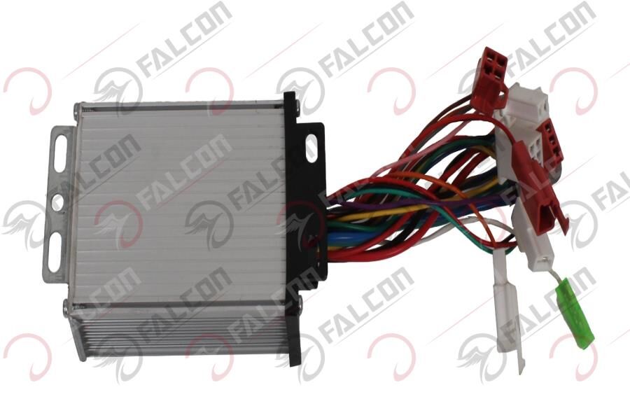 FALCON Falcon Gyps 249 Beyin