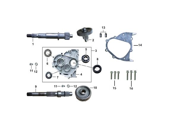 AYNA MARUTİ DİŞLİ KARŞILIGI ( RİSOTTO 125 )