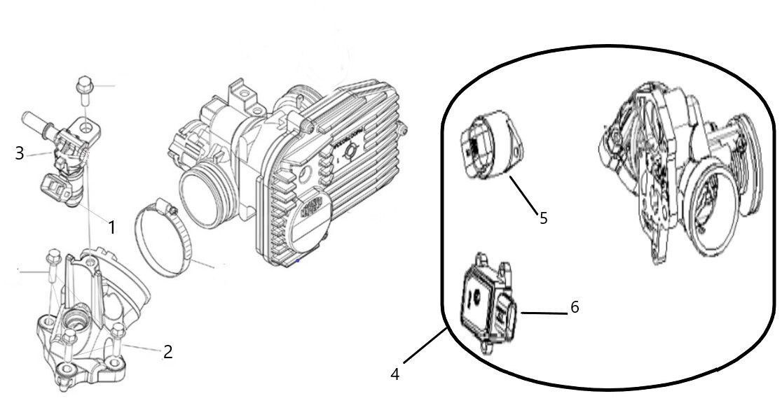 YUKİ YUKİ HURACAN ECU ROLE
